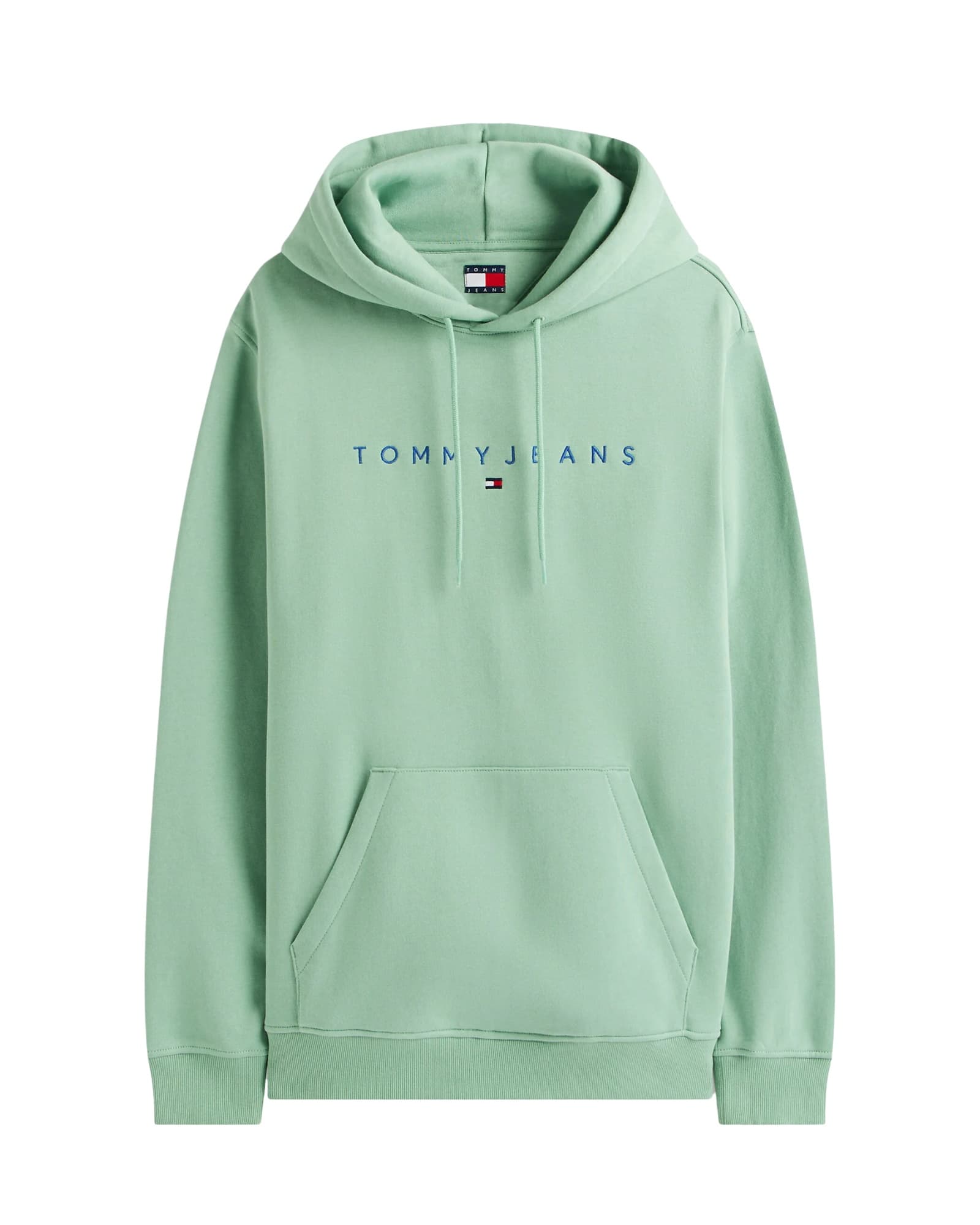 Tommy Jeans Reg Linear Logo Hoodie