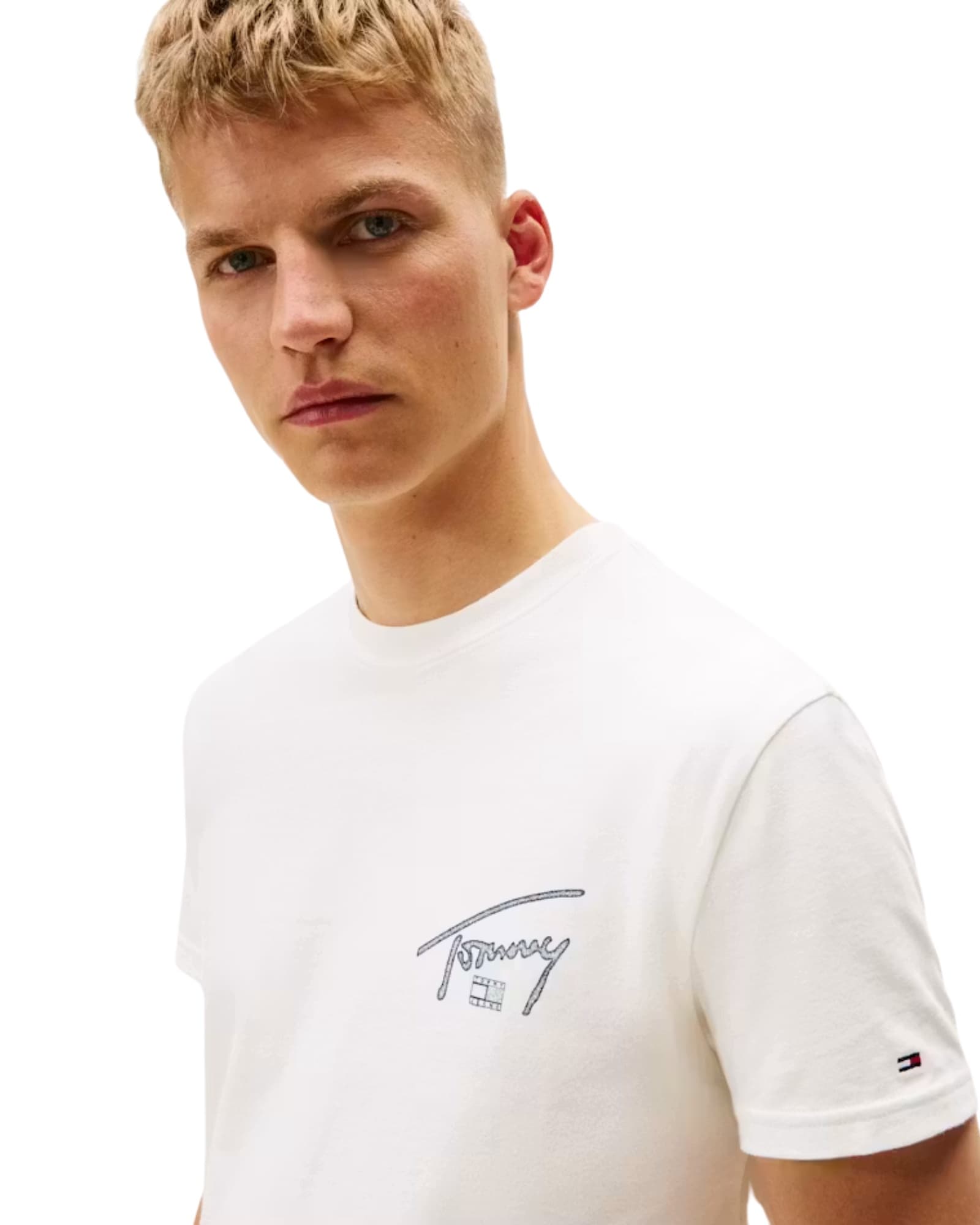 Tommy Jeans Reg Sign Backprint SS Tee